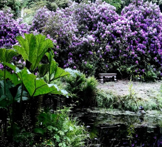 Parkimpressionen 2