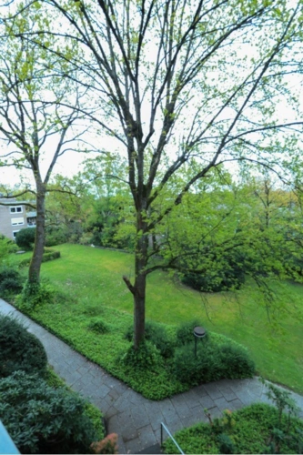 Blick in die Park ähnliche Freifläche
