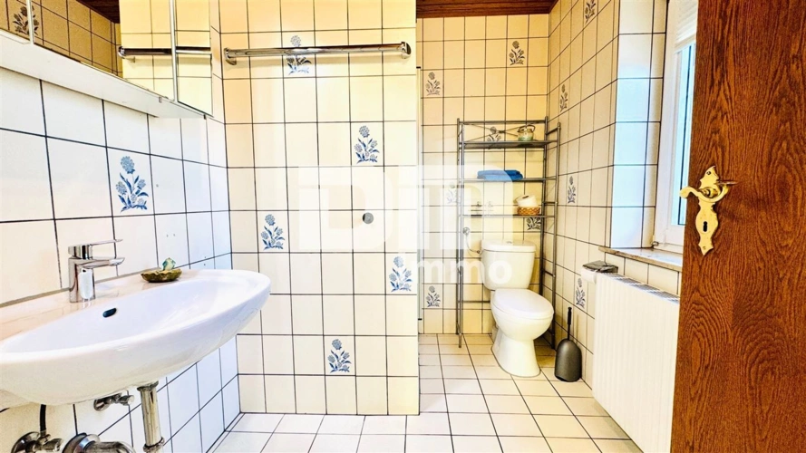 Souterrain Einliegerbereich Badezimmer / Dusche