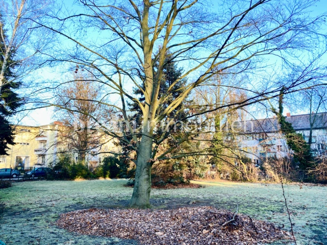 grünes Grundstück