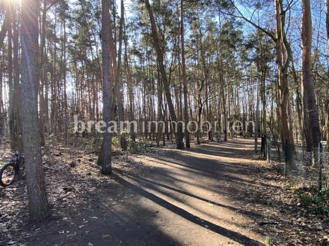 Village Forest nearby