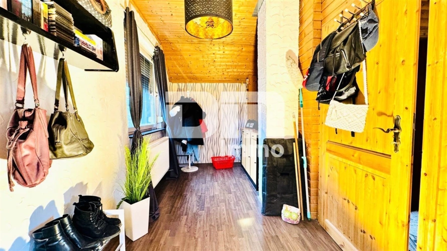 OG / DG Studio