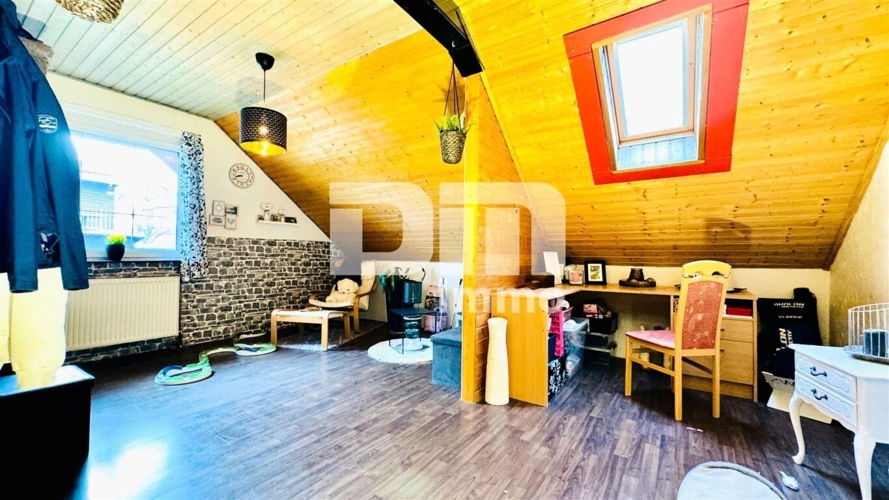 OG / DG Studio