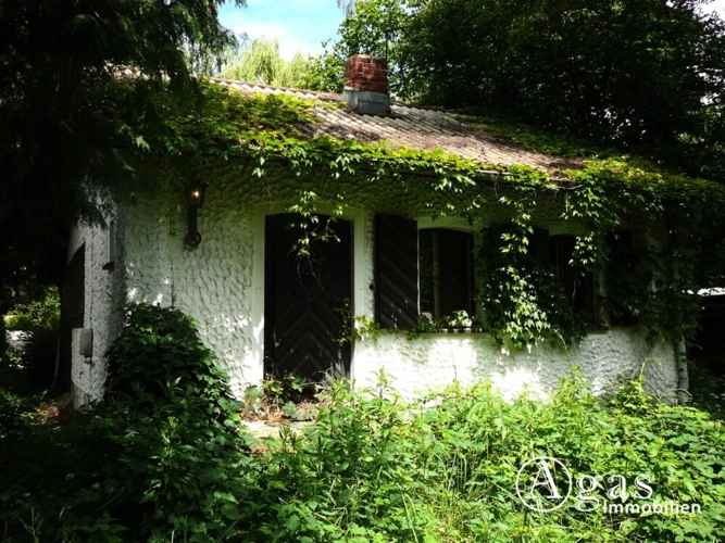 Haus