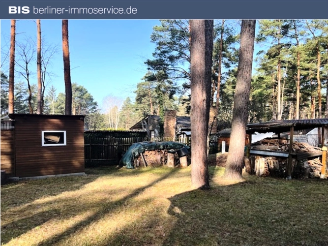 BIS Immobilien