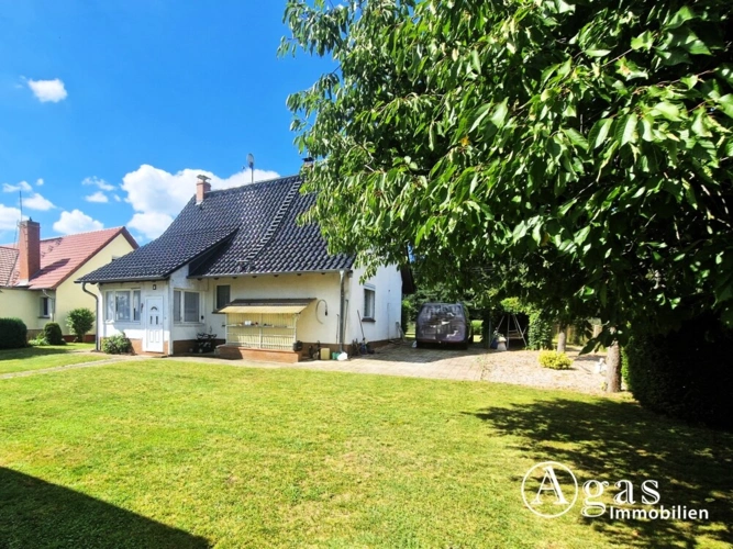 Einfamilienhaus Gartenseite