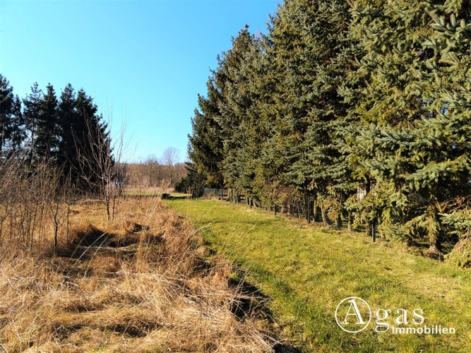 Weg zum Gartenland
