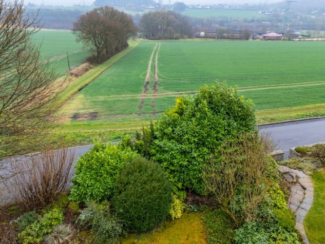 Ausblick