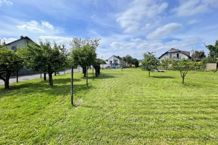 Ebenes Grundstück mit Baumbestand