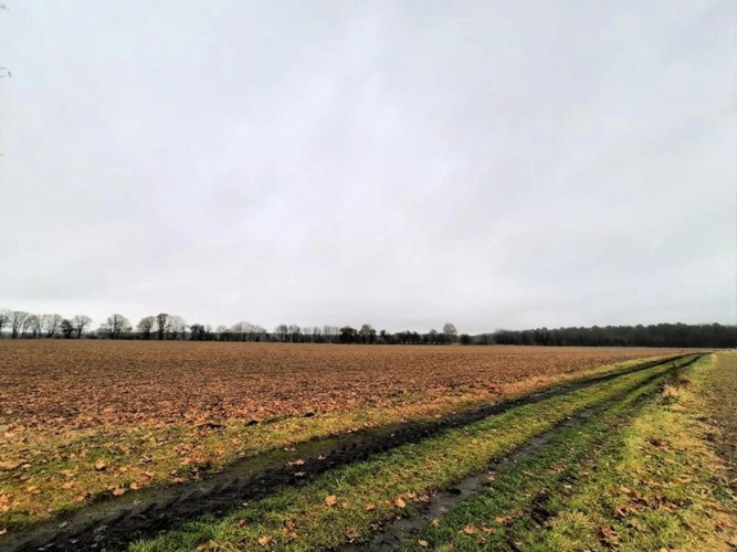 Entwicklungsland grösserer Teil
