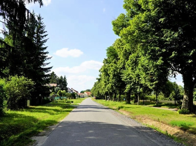 Baugrundstück Umgebung 1