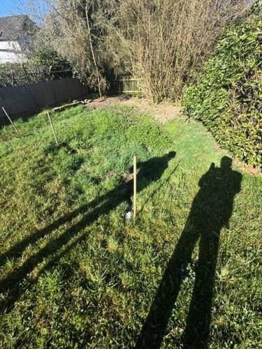 8 Regenwassermulde im Garten