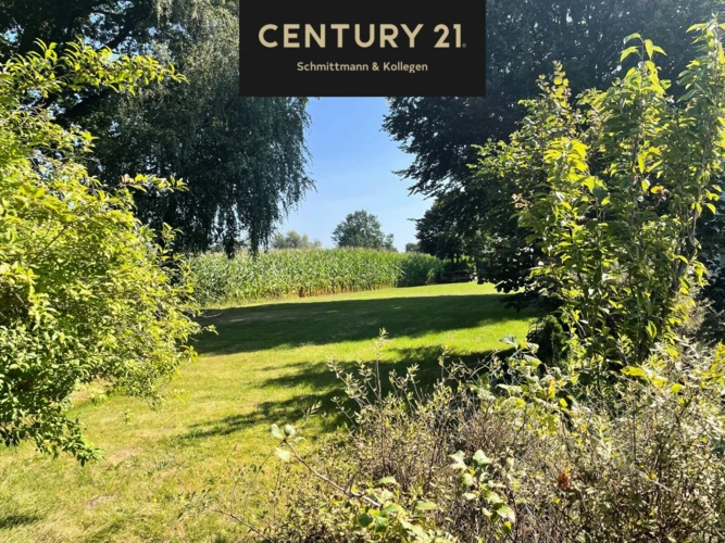 Garten im Sommer