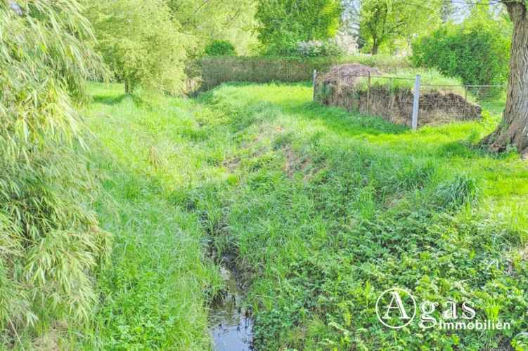 Kleiner Bachlauf im hinteren Bereich