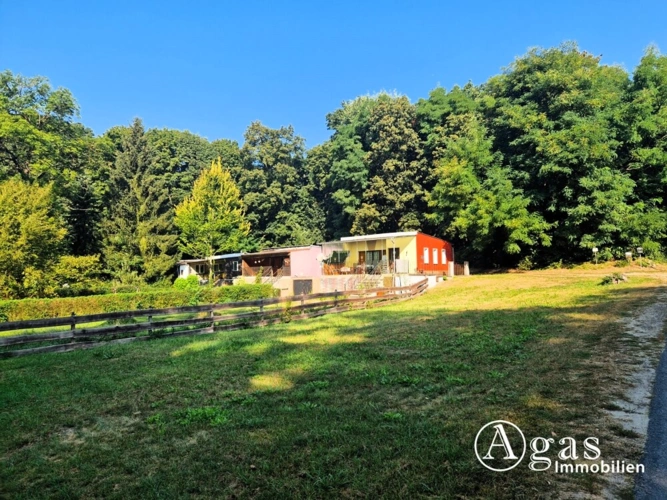 Wiese vor den Bungalows