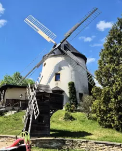 DRESDEN: Sanierte Holländerwindmühle mit nachgefragtem Restaurantbetrieb